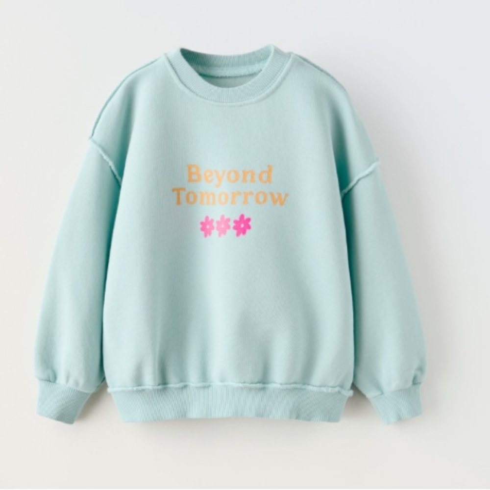 NWT Zara organic cotton blend sweatshirt